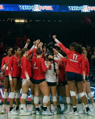 Arizona Wildcats Volleyball Tucson