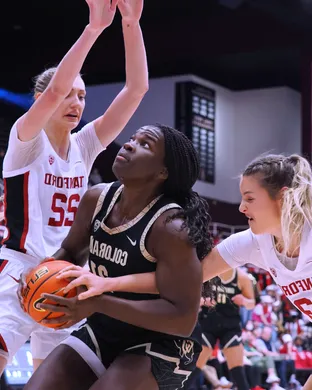 Colorado Buffaloes Women's Volleyball Boulder