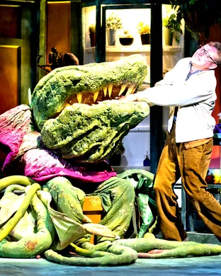 Little Shop Of Horrors Park City