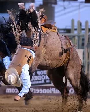 Ogden Pioneer Days Rodeo Ogden