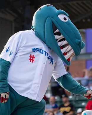 Ogden Raptors Ogden