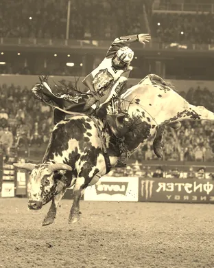 PBR - Professional Bull Riders Salt Lake City