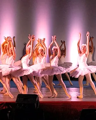 Swan Lake Salt Lake City