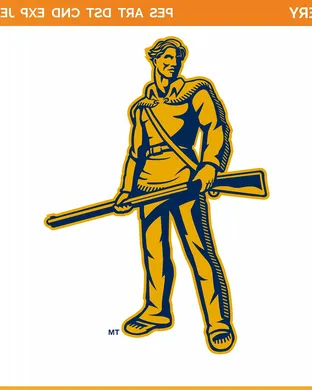 West Virginia Mountaineers Salt Lake City