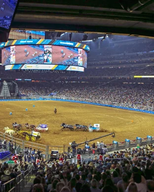 Utah's Own Rodeo